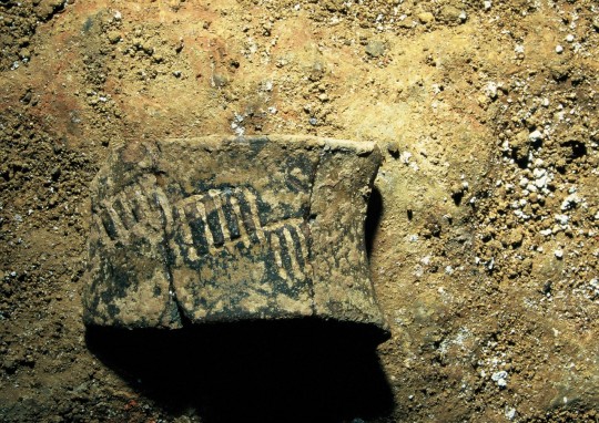 A piece of 5000 year old pottery