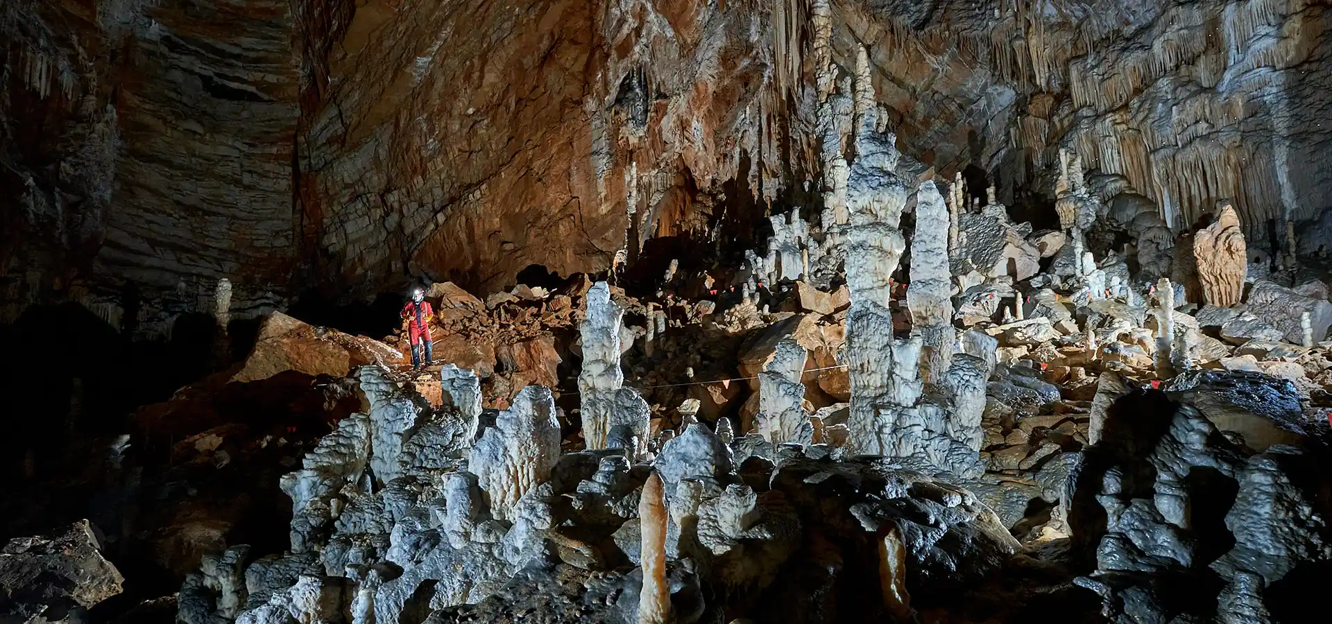 &nbsp;